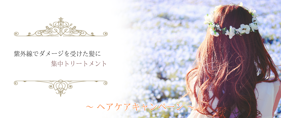 髪質改善縮毛矯正Milieu【ミリュウ】恵比寿店